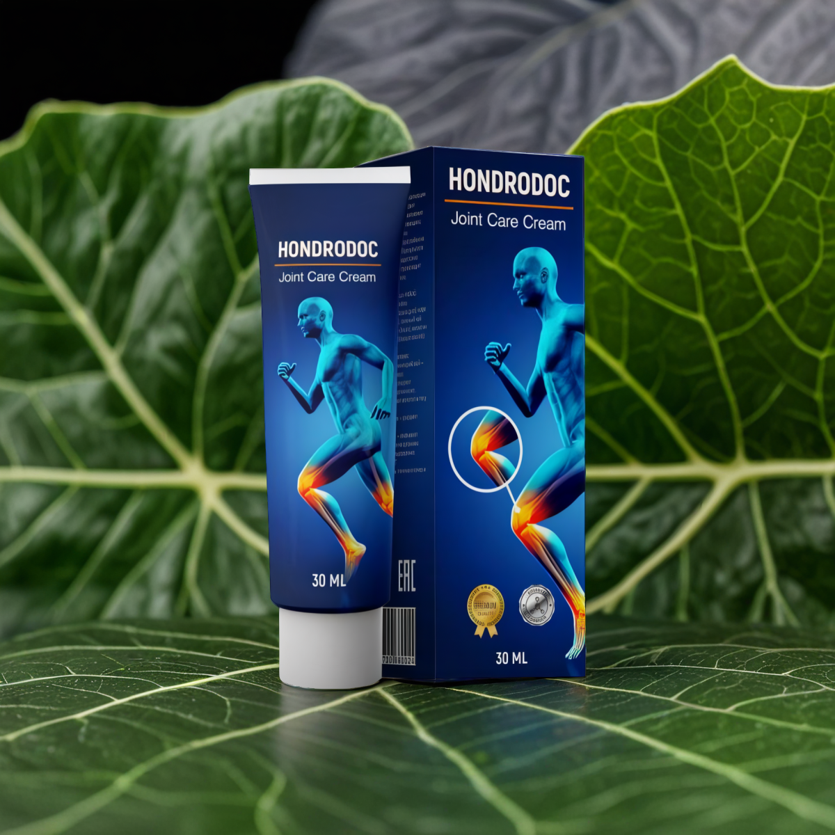 Hondrodox
