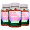 Leanix