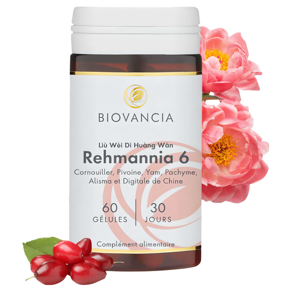 Rehmannia