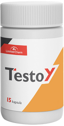 TESTOY