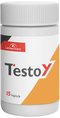 TESTOY